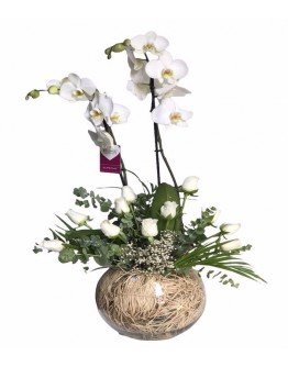 İthal Çift Dal Orkide ve Beyaz Güller