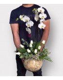 İthal Çift Dal Orkide ve Beyaz Güller