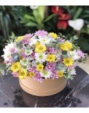 Kutuda Papatya Karnavalı