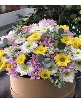 Kutuda Papatya Karnavalı