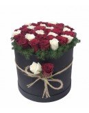 Kutuda Kırmızı Beyaz Güller