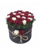 Kutuda Kırmızı Beyaz Güller