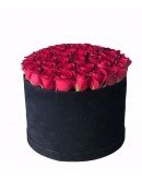 Kutuda Kırmızı Güller