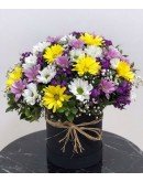 Mix Papatya Aranjmanı