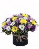 Mix Papatya Aranjmanı